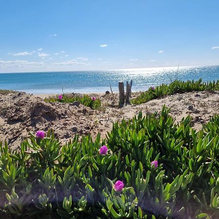 207 Cap D'Agde Naturiste Grand T2 De Standing Avec Garage Bagian luar foto